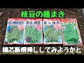枝豆の収穫量倍増しちゃう摘心断根挿しをしてみようかと☆すぎおふぁーむ