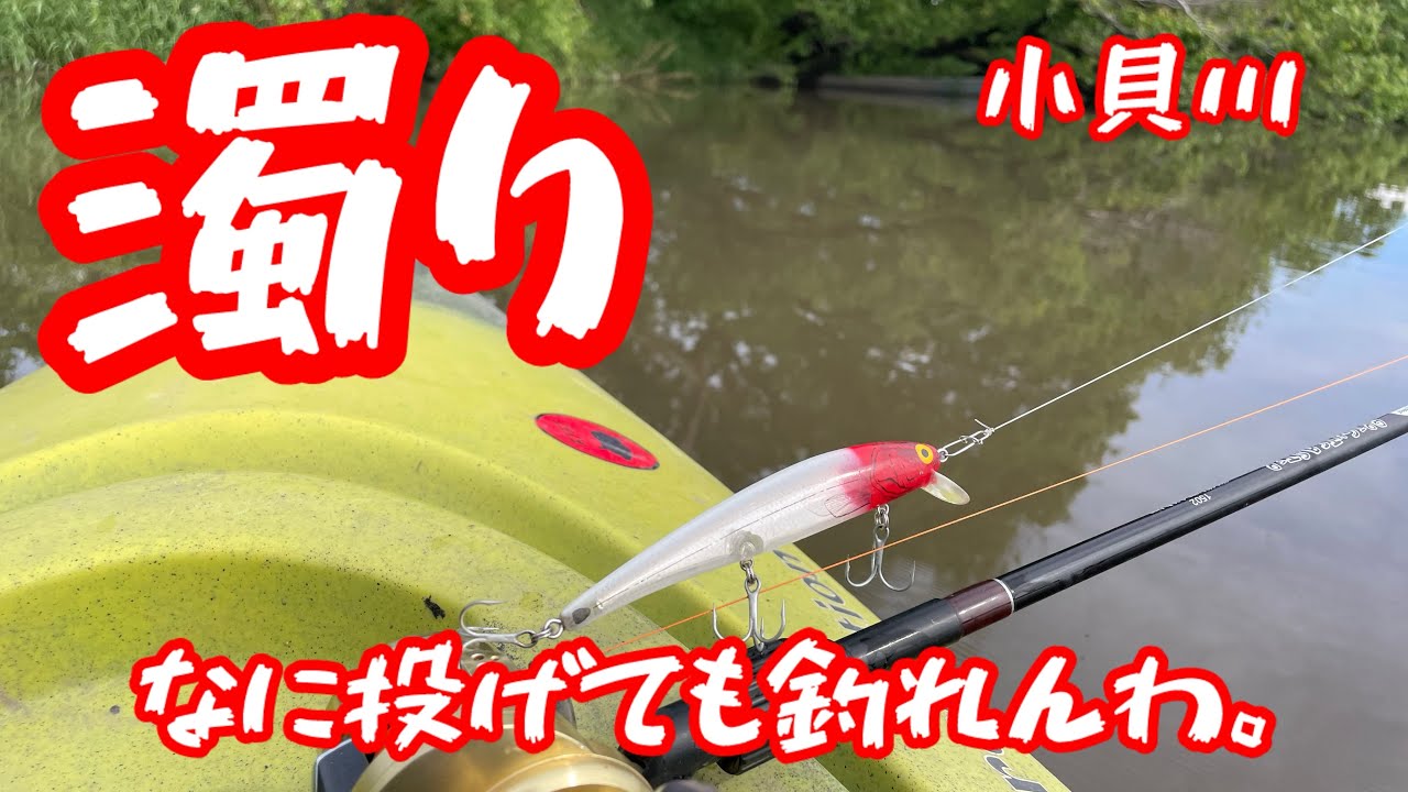 #トップウォーター #カヤックフィッシング #バス釣り #fishing #デカバス #bassfishing #小貝川バス釣り #最近ラップ聴いてる