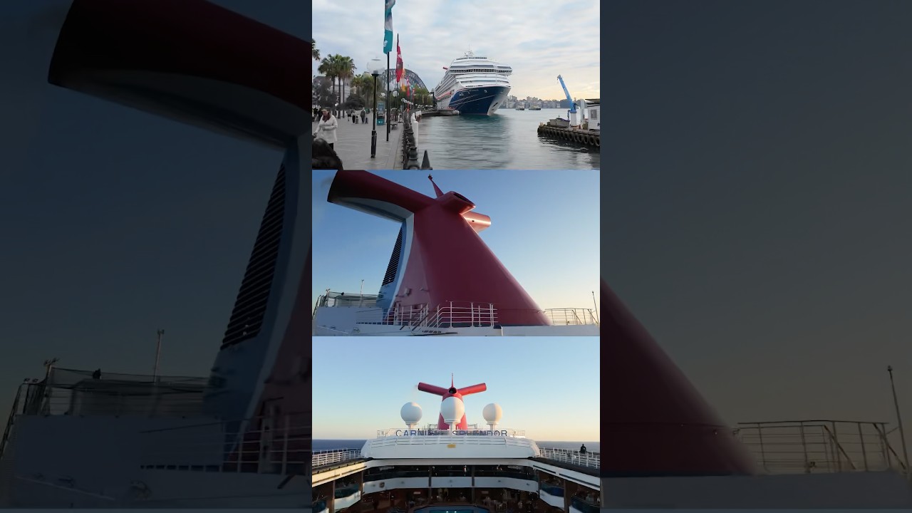 Carnival Splendor #cruise #shorts