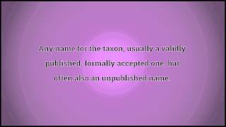What Synonym Means
