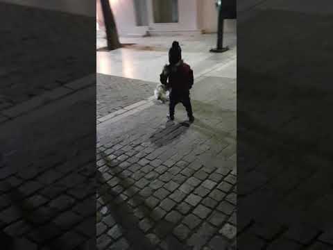 گاز گرفتن کودک توسط سگ