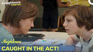 Nicolette Exposes Brent’s Criminal Secrets! | S37 E8597 | Neighbours (2021)