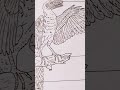 Archaeopteryx
