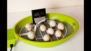 5 Best Egg Incubators 2018 | Best Egg Incubator Reviews | Top 5 Egg Incubators