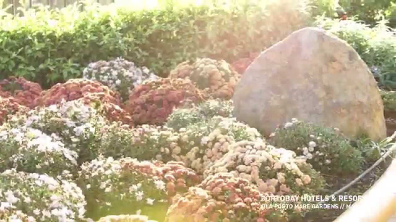 Vila Porto Mare Gardens // Madeira Island