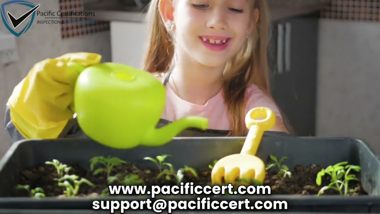 ISO certification for Preschool Education Schools - Pacific Certifications