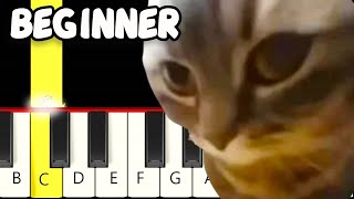 a REAL CAT sings Chipi Chipi Chapa Chapa - Fast and Slow (Easy) Piano Tutorial - Beginner