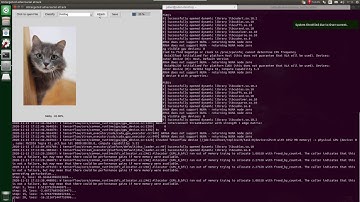 Jetson Nano - Python Adversarial Attack - Faton 720p