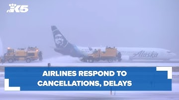 Airlines respond to cancellations, delays