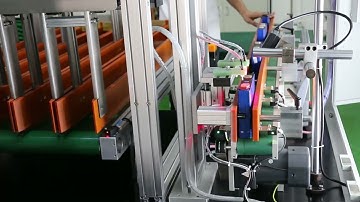 Prismatic cell sorting machine