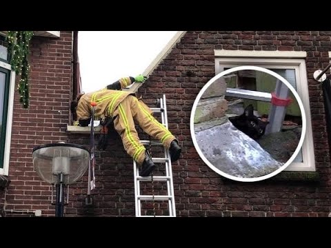 Video: Reddingsorganisatie Komt Bijeen Om Kat Te Redden Die In De Straten Van Brooklyn Is Achtergelaten