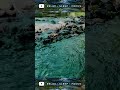 🌊 Listen to This River Before You Sleep 😴 #shorts