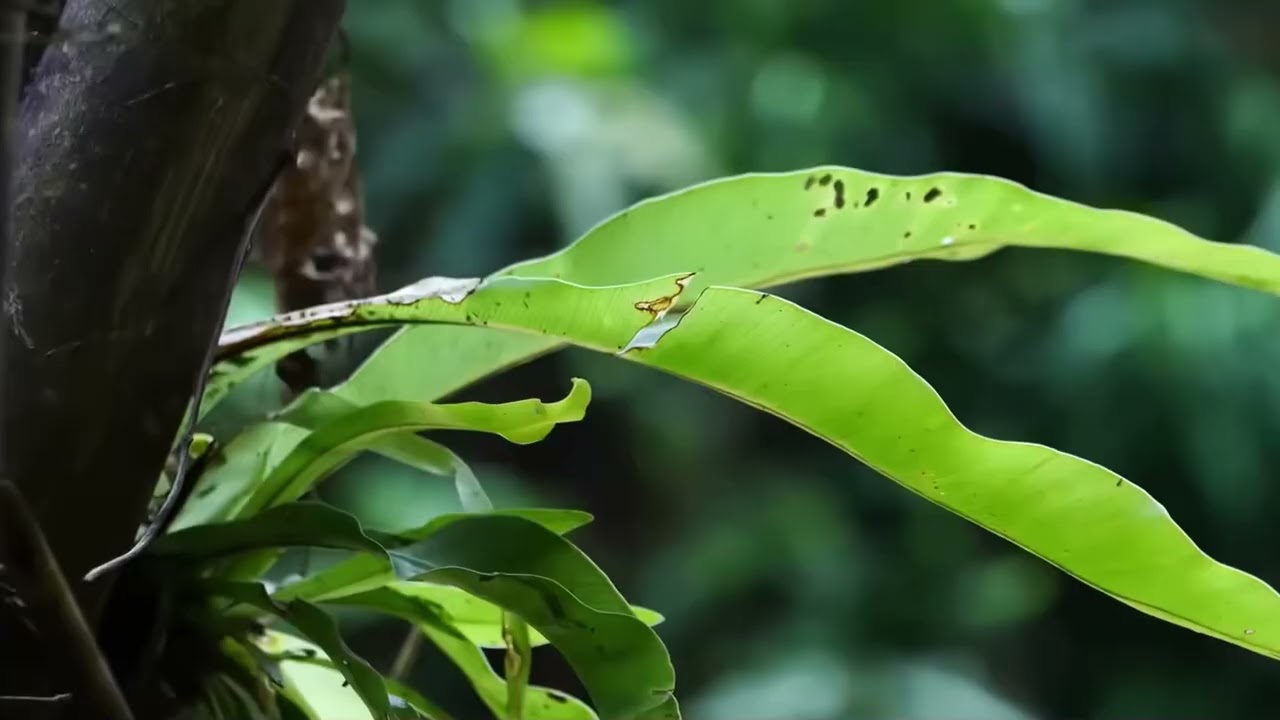 UNLIMITED FREE ENERGY! ⚡ 90 Days Building a Log Cabin & A Handmade Generator 🌲🛠️