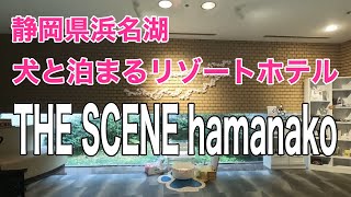 浜名湖【THE SCENE hamanako】評判どおり快適なホテルでした#チワワ #犬との暮らし