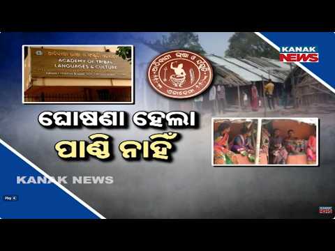 ଆରମ୍ଭରୁ ଝୁଣ୍ଟିଲା ଏସ୍‌ଡିସି ! Big Trouble For Odisha SDCs! Chairpersons Seek 11 Demands