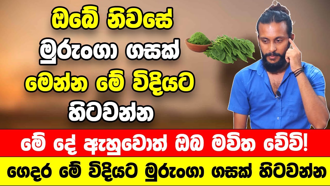 ඔබේ නිවසේ මුරුංගා ගසක් තියෙනවාද? මේ දේ ඇහුවොත් ඔබ මවිත වේවි! |ගෙදර මේ විදියට මුරුංගා ගසක් හිටවන්න
