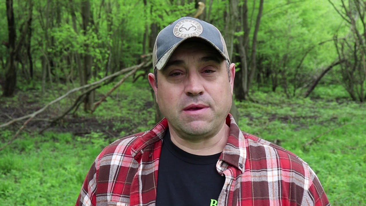 You're Not A Real Homesteader! And A Bear Video......