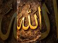 allah ki short video viral #allah #love #duet #baby #funny #foryou #786 #shorts #video