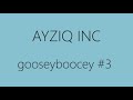 Ayziq inc  gooseyboocey comp 3