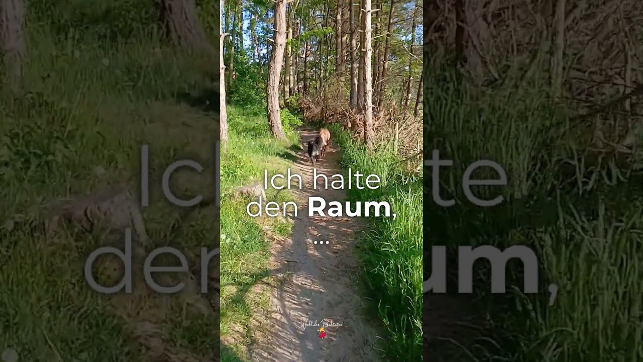 Wenn dein Tier sich verändert hat 