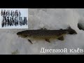 СУПЕР РЫБАЛКА НА КУМЖУ (дневной клёв) / SUPER FISHING FOR TROUT (daily nibble)