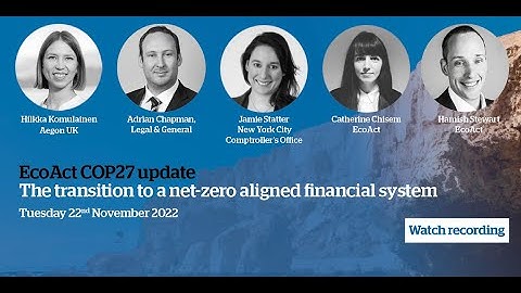 EcoAct post-COP27 webinar: The transition to a net-zero aligned financial system