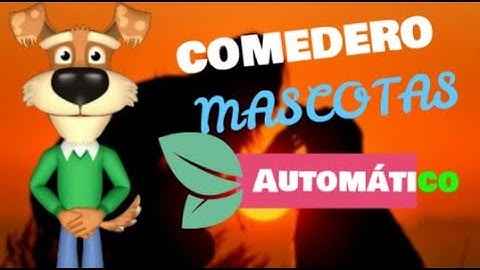 Los Mejores Comederos Automáticos para perros 2020