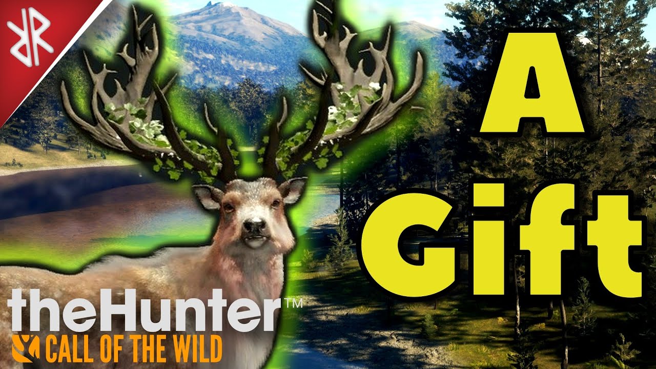 I got Gifted a Great One Red Deer - The Hunter COTW - YouTube