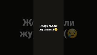 минута молчание о Жоре.... #мемы #shorts #memes