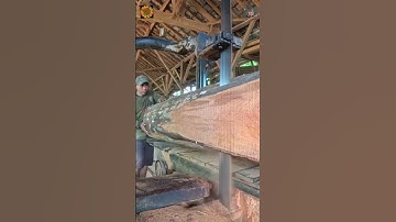 Gãy lưỡi cưa CD đứng