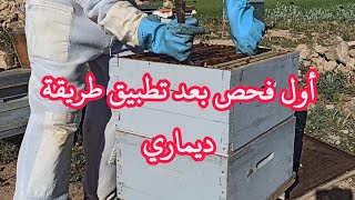 نتائج رائعة لأول فحص بعد تطبيق ديماري لجمع أكبر كمية من العسل و للحد من التطريد الطبيعي الحلقةرقم02. screenshot 5