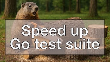How to speed up a large Go test suite