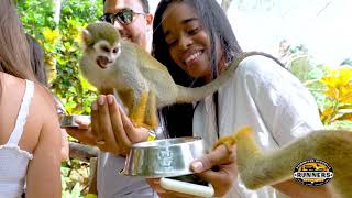 Celebrity Monkeyland Punta Cana, Dominican Republic Wealth