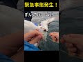 鳥助けた