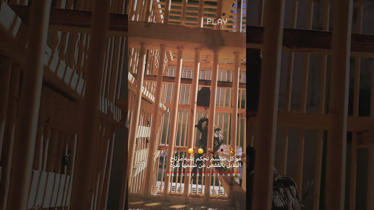 من ضيمها تغرد 💔👋🏻 