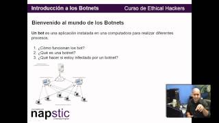 Curso de Ethical Hacking 16 va parte Botnets