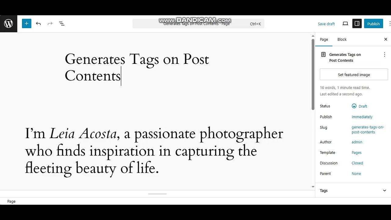 Auto Tags Producer WordPress Plugin