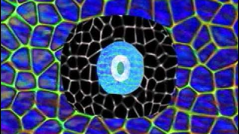 No Distance Falls.f4v