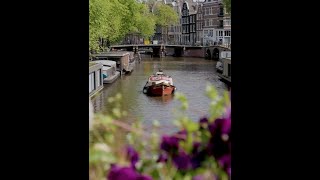 Thumbnail for Heb jij de Friese Palingroker al eens zien varen! #shorts #amsterdam