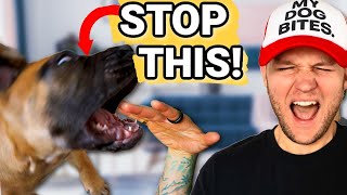 Puppy Training How To Stop Puppy Biting Guaranteed! STOP Puppy Biting In Seconds!