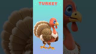 learning with funny #turkey #birds #cartoon #animation for #kids