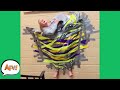 When GRAVITY Gets the LAST LAUGH! 😆  | Funny Fails | AFV 2020