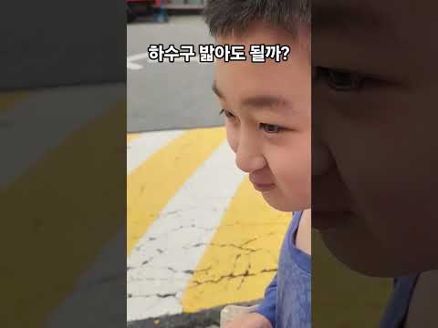 하수구 추락