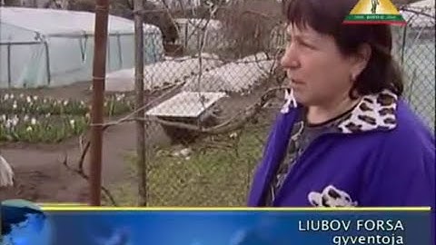 Sočis ruošiasi svarbiausių pasaulyje sporto renginių - 2014 m. žiemos olimpines žaidynes