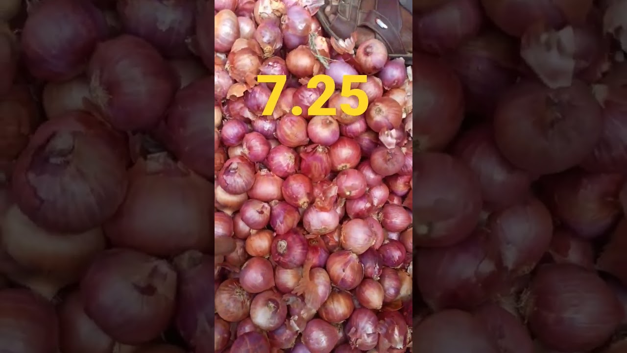 Sholapur onion rate today hyderabad market 