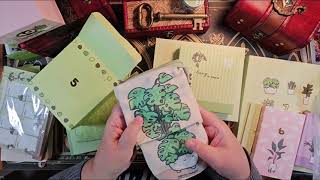 Unboxing Hubman & Chubgirl Plant Shop Advent Calendar