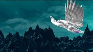 Falcon logo Animation