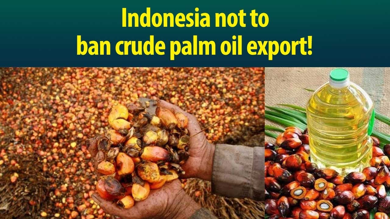 Big relief for Indian edible oil market despite Indonesia’s Palm Oil export ban! Why?