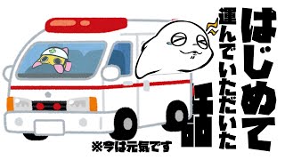 【もう元気】びっくりしたよ～🐟【白・まろやか】
