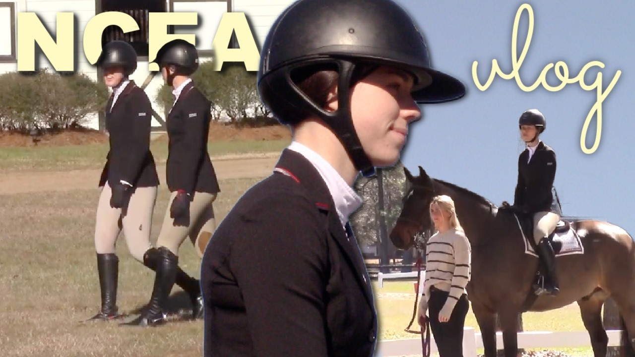 Видеоблог о конном шоу NCEA!!
